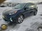 2020 Kia Niro EV EX