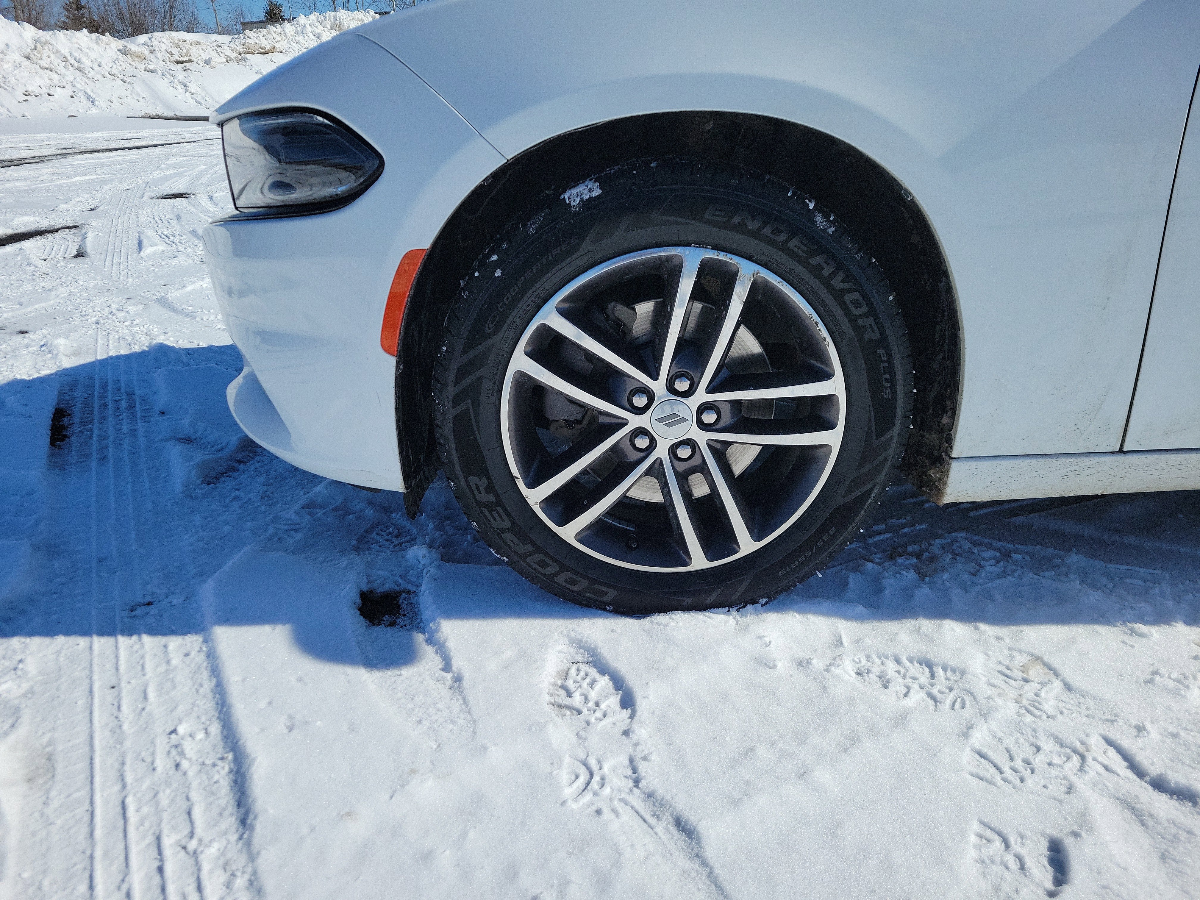 2019 Dodge Charger SXT AWD
