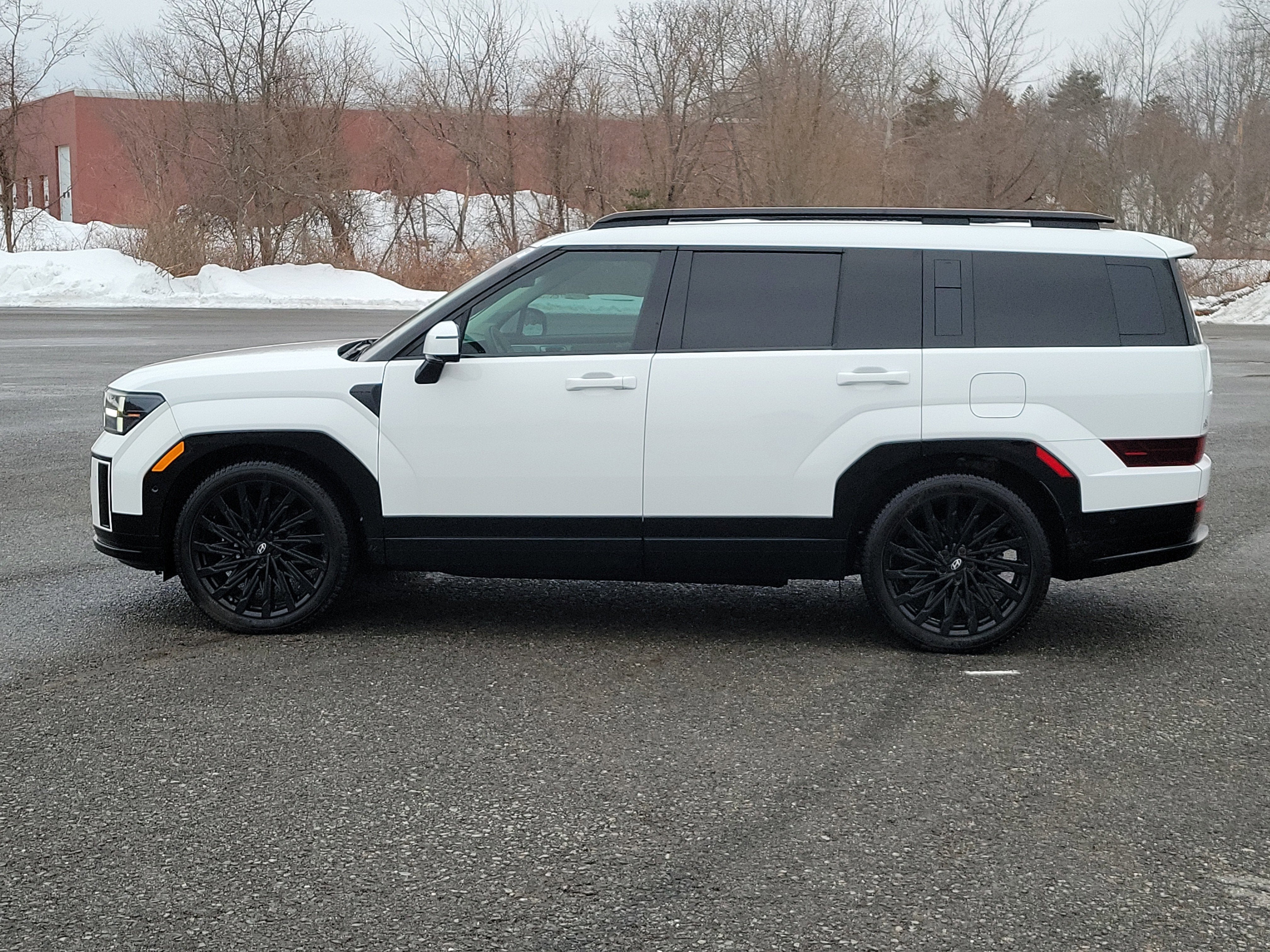 2024 Hyundai SANTA FE Calligraphy