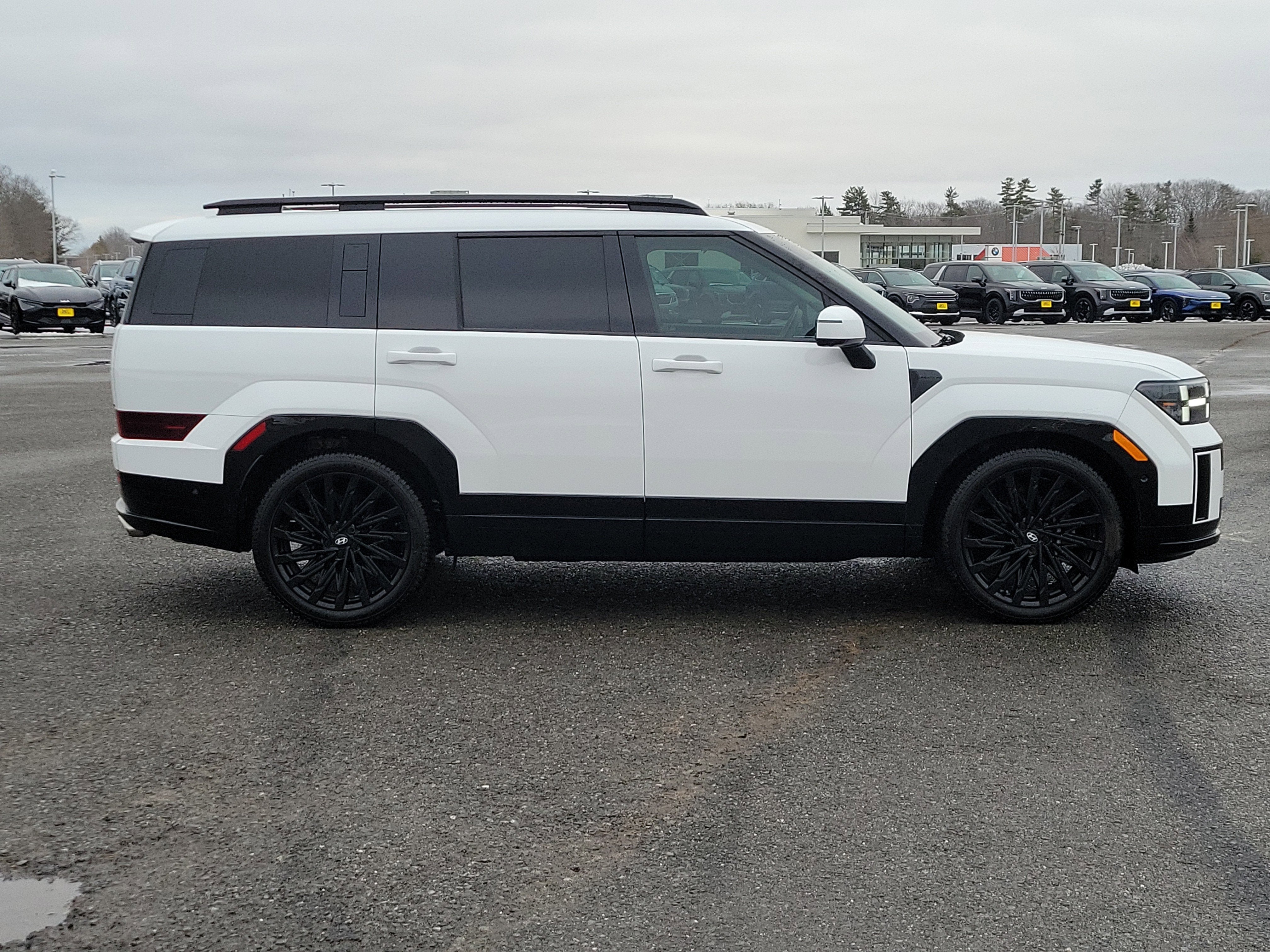 2024 Hyundai SANTA FE Calligraphy