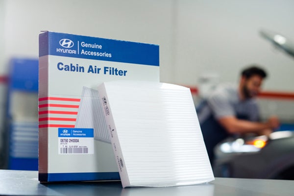 Cabin Air Filter