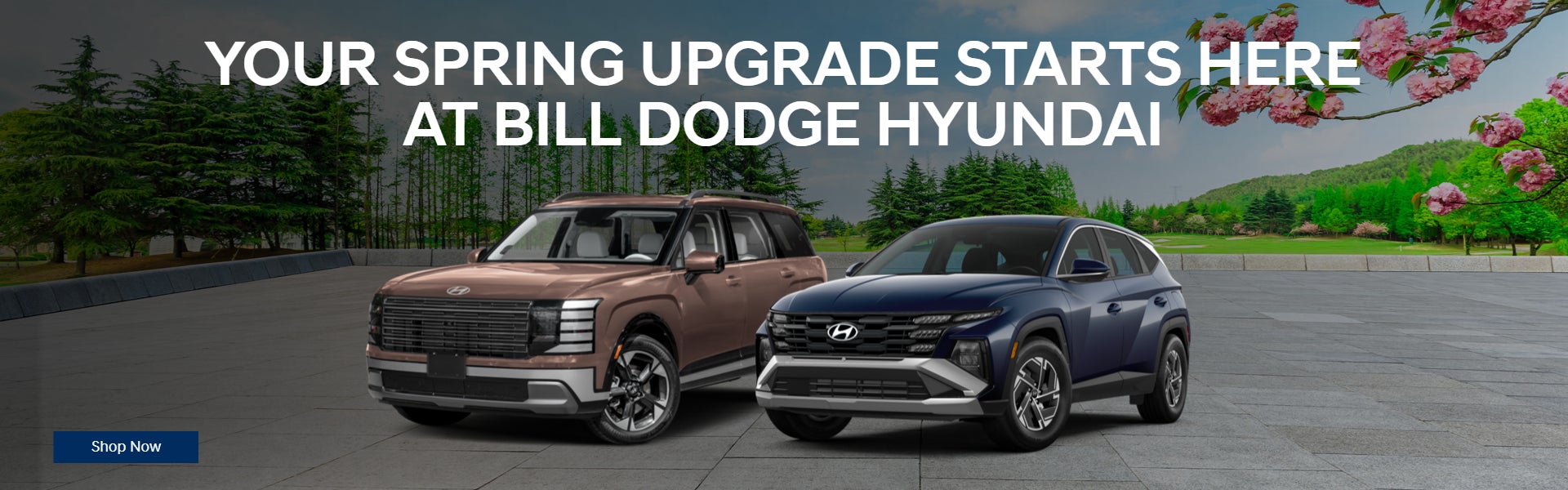 Your Spring Upgrade Starts Here at Bill Dodge Hyundai
