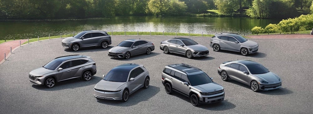 Several gray Hyundai vehicles parked beside a river